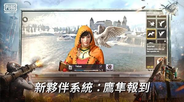 绝地求生轻量版最新版本截图2