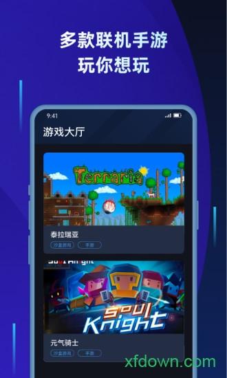 蒲公英联机平台截图0