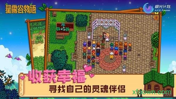 星露谷物语小米中文版截图1