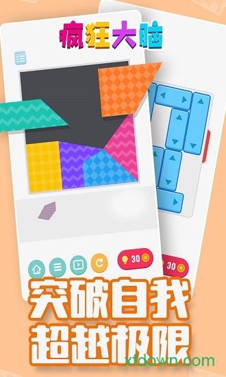 疯狂大脑截图3