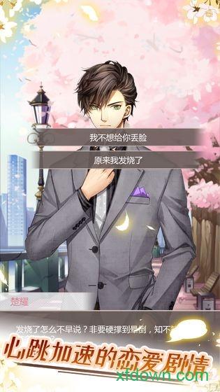 猫咪异闻截图1