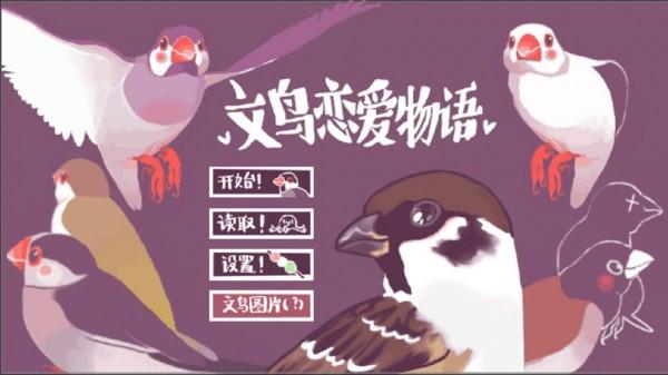 文鸟恋爱物语九游版截图1