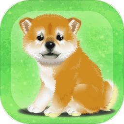 养育柴犬的治愈手游