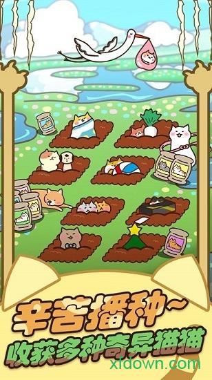 猫咪田园中文版截图1
