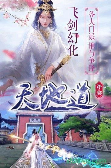 天地道果盘版截图0