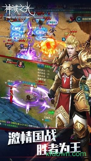 神域之光手游华为版截图0