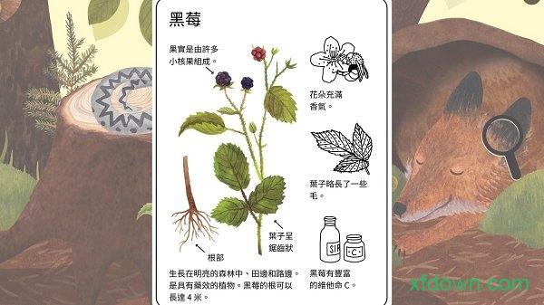 小棕鼠的自然生态百科手游截图1