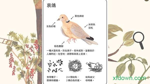 小棕鼠的自然生态百科手游截图3