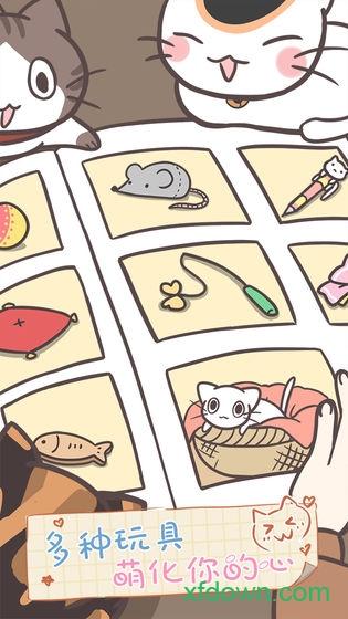 猫咪饲养日常截图0