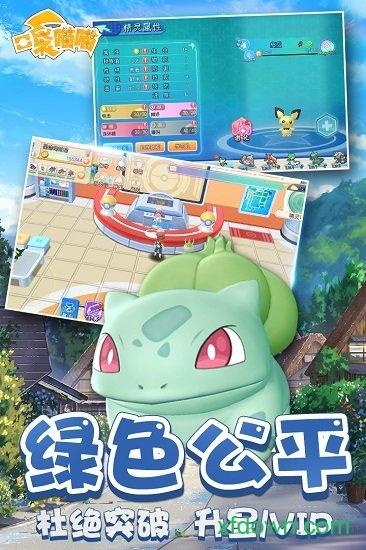 口袋喵喵国际版截图3