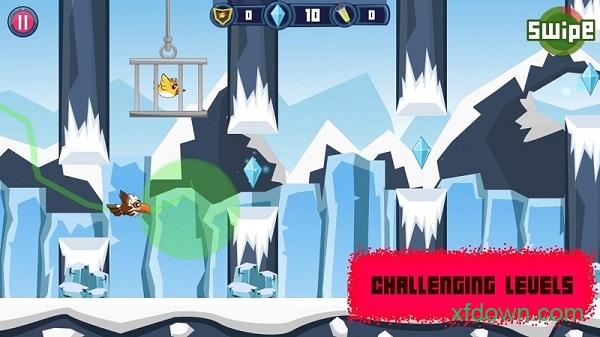 斗殴鸟(brawl birds)截图3