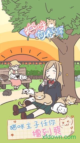 猫咪饲养日常截图1