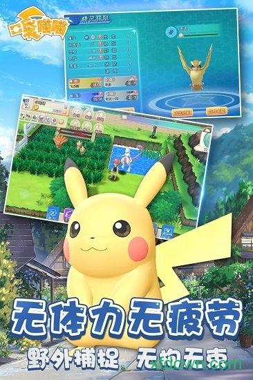 口袋喵喵国际版截图1