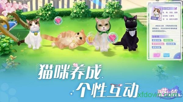 喵与筑九游版截图0