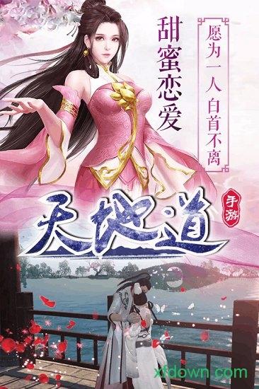 天地道果盘版截图2