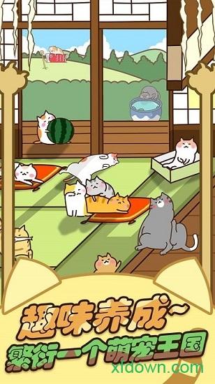猫咪田园中文版截图0