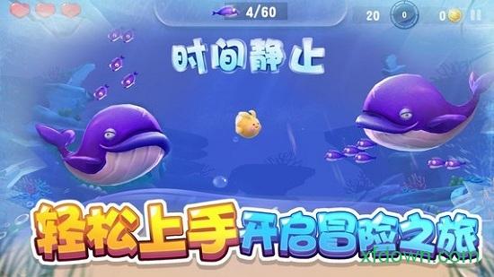 大鱼来了截图1