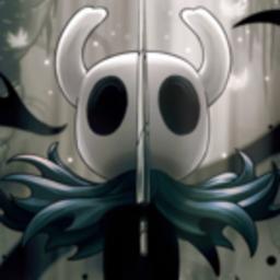 空洞骑士测试服