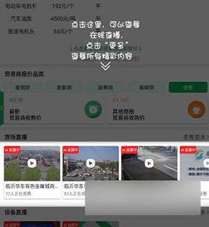 废废2024最新版