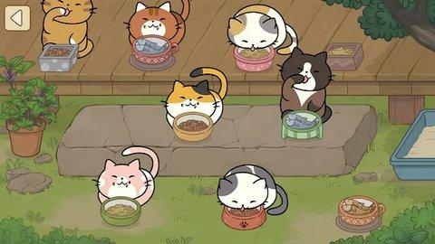 发现猫咪免广告版