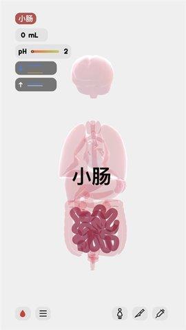 生命人体模拟器完整版截图1
