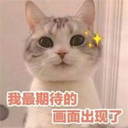 喵星人简史测试版