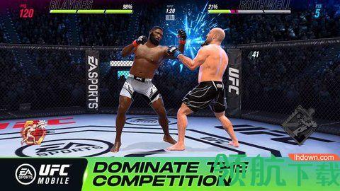 UFC终极格斗冠军2动作游戏截图1