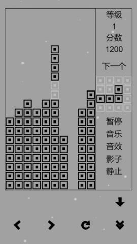 俄罗斯方块黑白经典版截图2