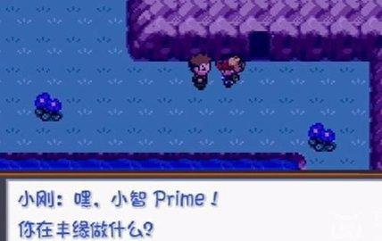 口袋妖怪燃之智汉化版