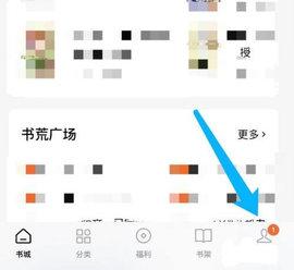 泡泡小说论坛破解版
