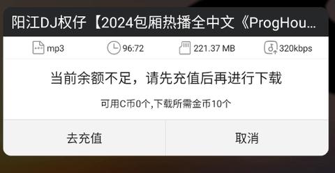 DJ城市串烧2024最新版