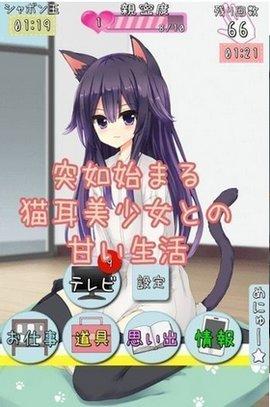 猫娘在家中文破解版完整版截图2