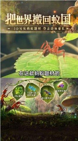 蚁族总动员官方版截图1
