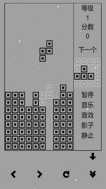 经典俄罗斯方块黑白版截图2
