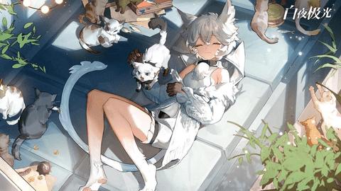 白夜极光免费版截图1