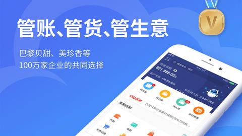 金蝶精斗云专业版