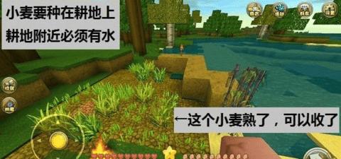 迷你世界无实名认证最新版