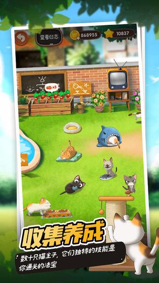 猫语咖啡破解版截图3