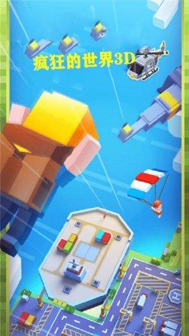 疯狂的世界3d手机版截图0