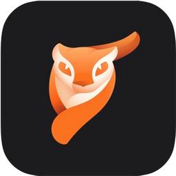 Pixaloop破解版