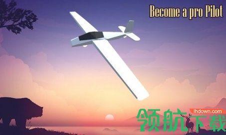 飞机特技游戏安卓版截图2
