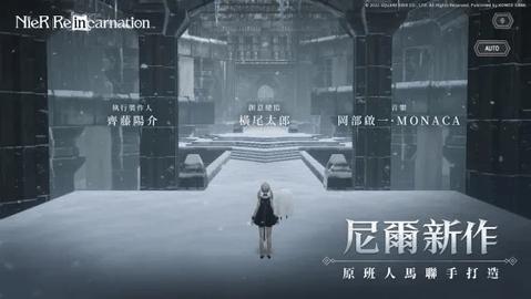 尼尔康乃馨手游汉化版截图1