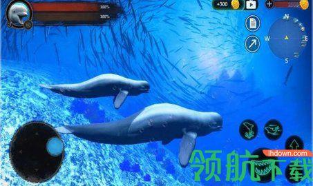 海洋大捕杀游戏中文版截图1