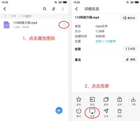 115网盘电视版