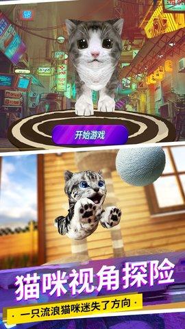 猫咪城市模拟2022最新版截图1