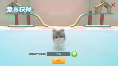 养了个猫游戏官方正式版截图2