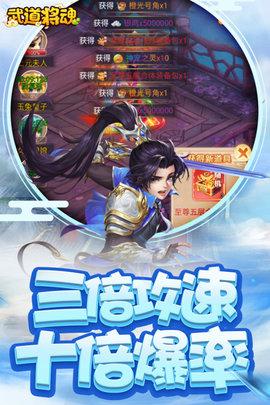 武道将魂正式版截图2