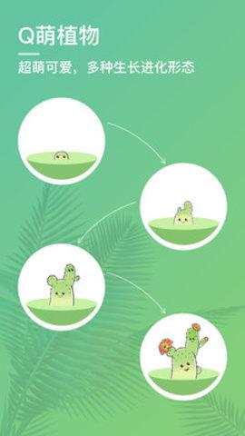 口袋植物测试版截图1