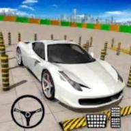 疯狂的停车场3D游戏最新版