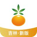 吉林省农村信用社手机银行app最新版